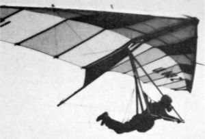 Czech Jiri Klikar flying a wing of his own design