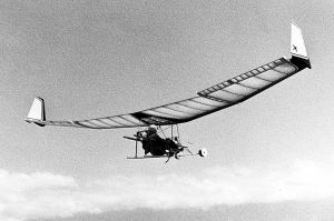 Mitchell Wing hang glider